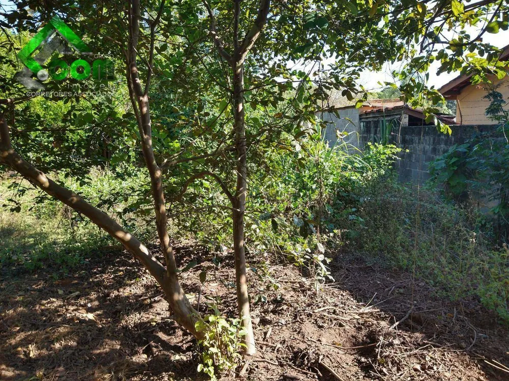 Chácara, 3 quartos, 1620 m² - Foto 4