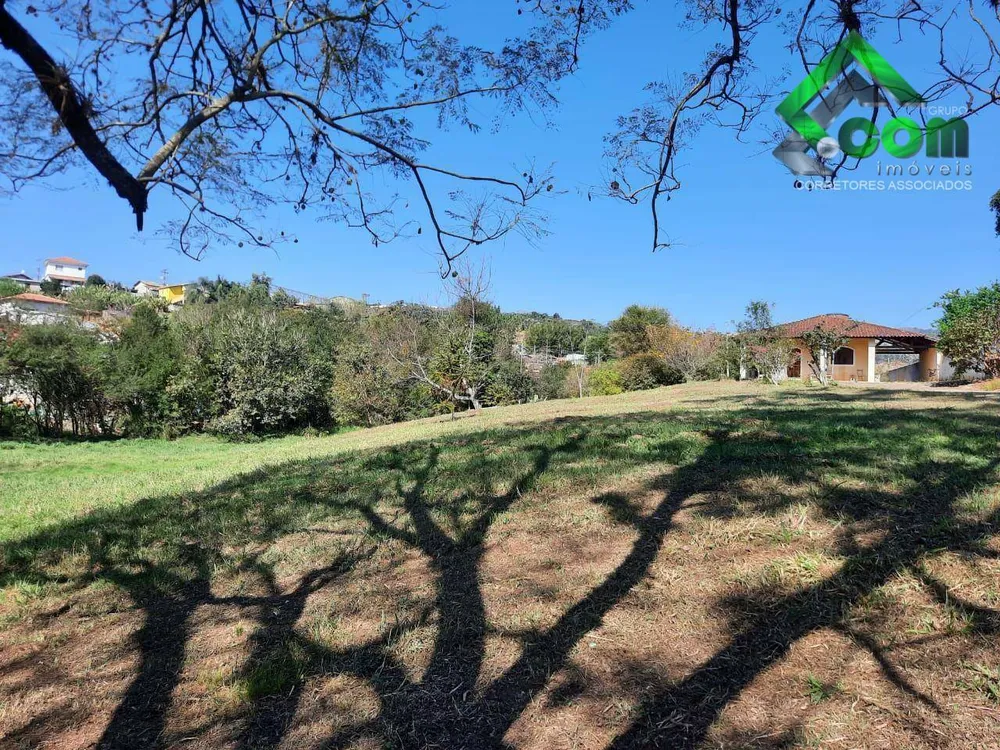 Terreno, 3 hectares - Foto 4