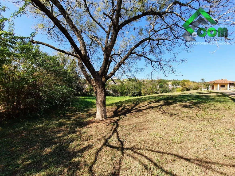 Terreno, 3 hectares - Foto 1