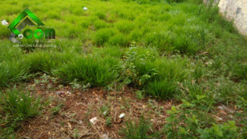 Terreno, 514 m² - Foto 3