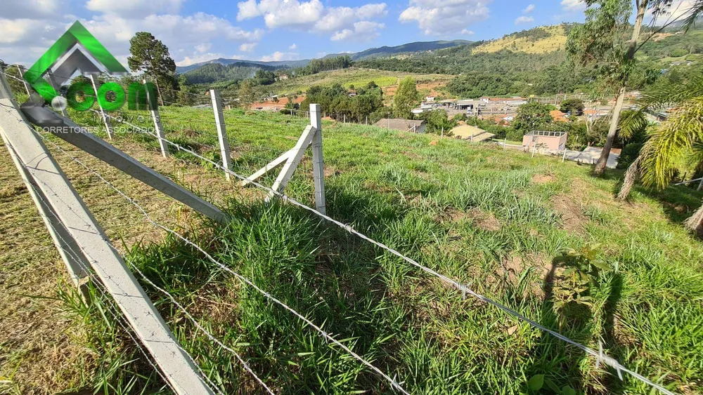 Terreno, 2650 m² - Foto 3