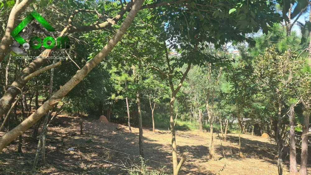 Terreno, 971 m² - Foto 1