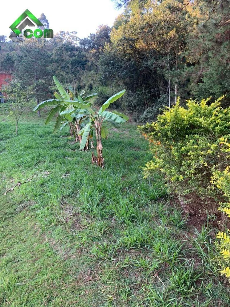 Terreno, 5508 m² - Foto 3