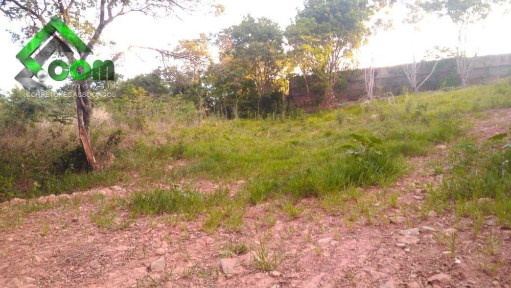 Terreno, 1004 m² - Foto 3