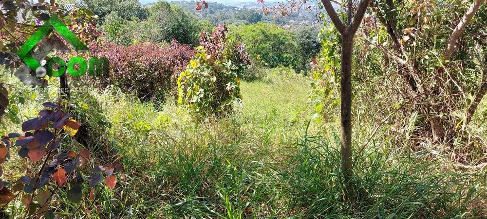 Terreno, 2232 m² - Foto 4