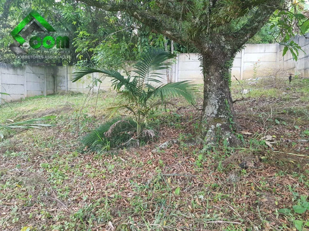 Terreno, 454 m² - Foto 2