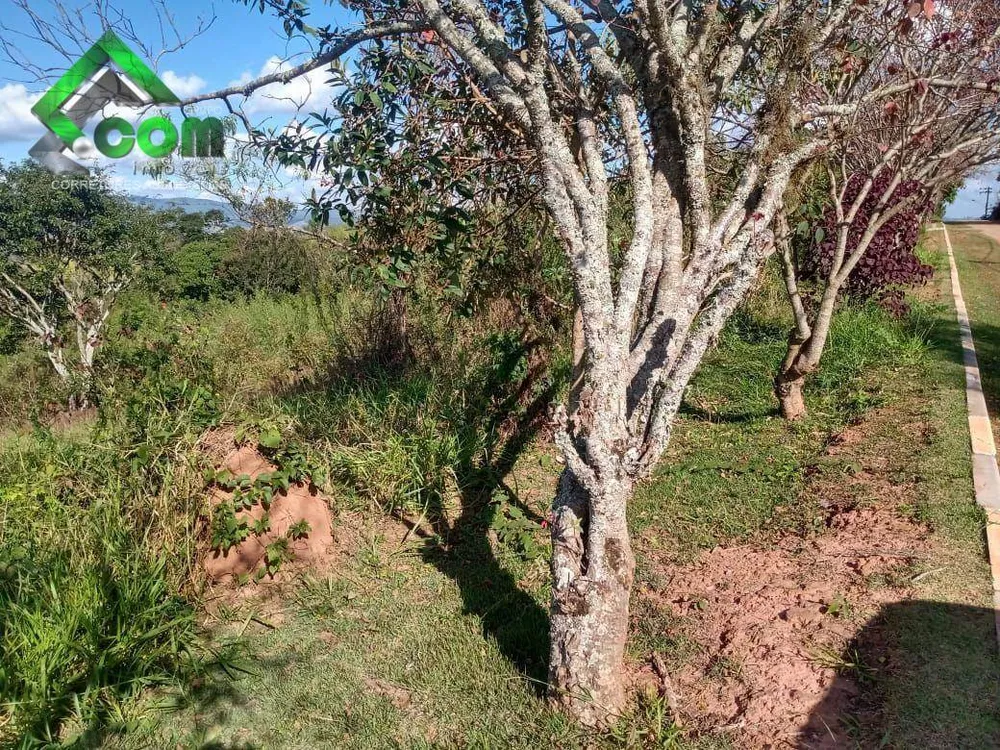 Terreno, 2284 m² - Foto 3