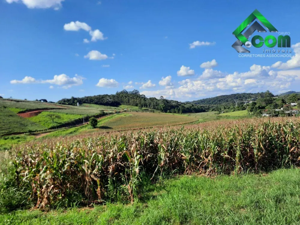 Terreno, 2 hectares - Foto 4