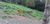Terreno, 430 m² - Foto 4