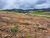 Terreno, 213 m² - Foto 1