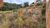Terreno, 620 m² - Foto 1