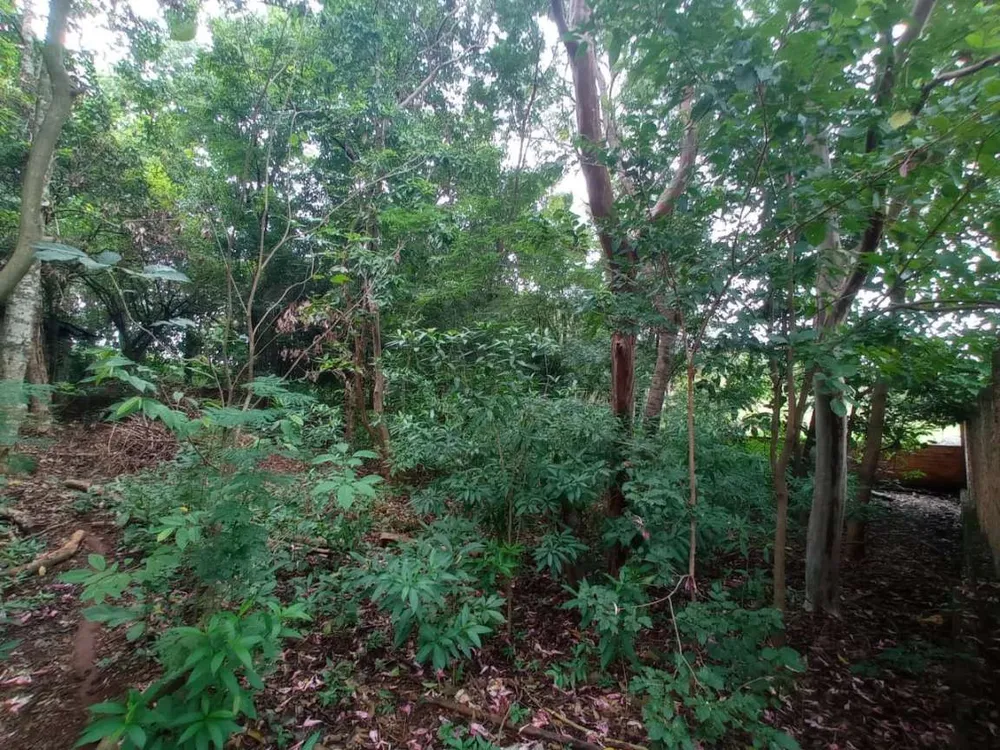 Terreno, 979 m² - Foto 3