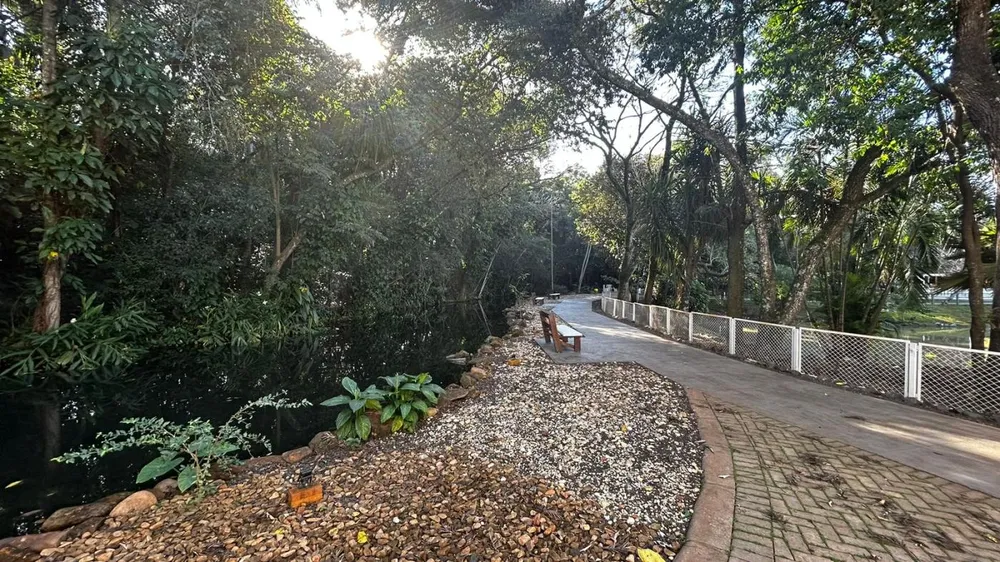 Terreno, 1274 m² - Foto 8