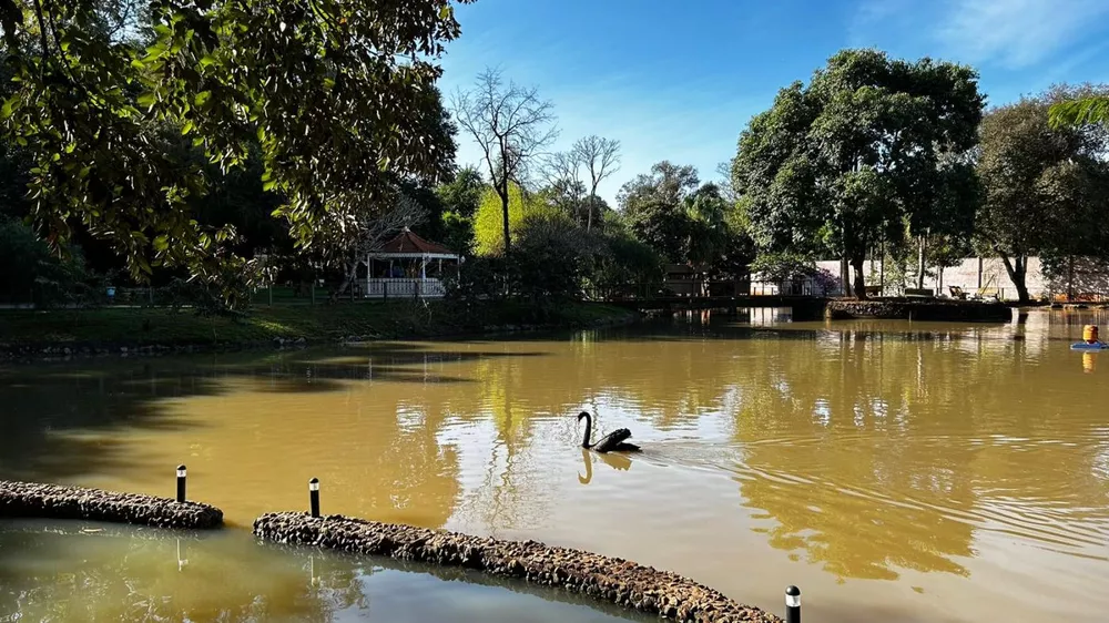 Terreno à venda, 1222m² - Foto 18