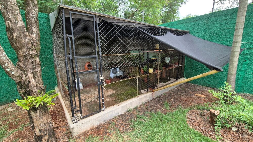 Sobrado, 403 m² - Foto 4