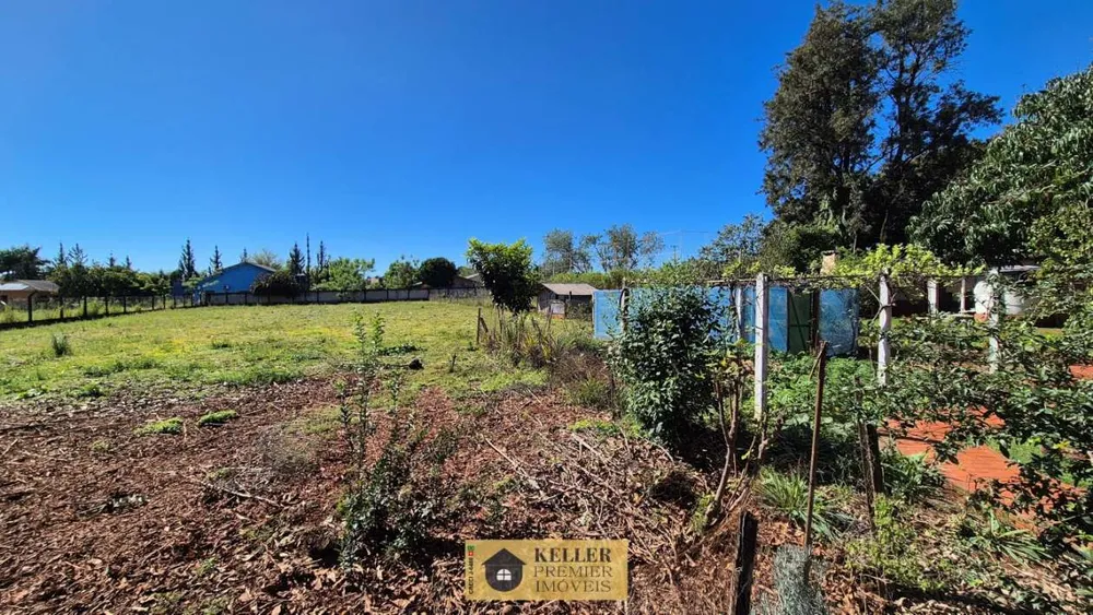 Chácara, 3 quartos, 4828 m² - Foto 10