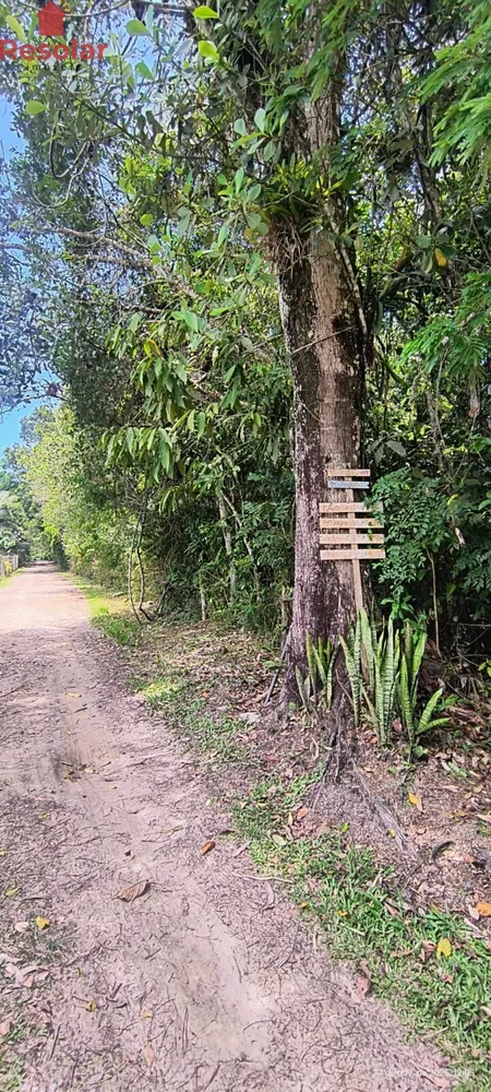 Terreno, 3200 m² - Foto 6