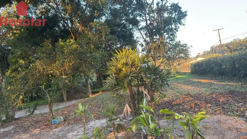 Terreno, 1 hectares - Foto 2