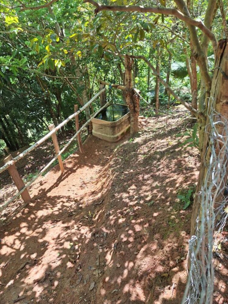 Chácara, 2 quartos, 1502 m² - Foto 10