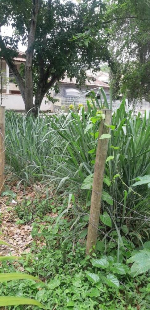 Terreno, 738 m² - Foto 2