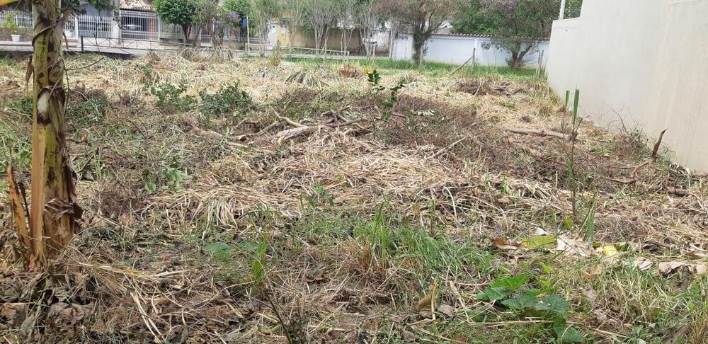 Terreno, 738 m² - Foto 6