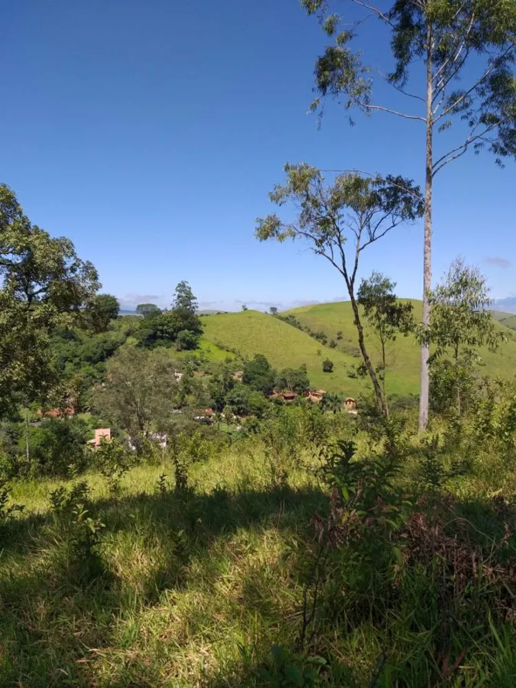 Terreno, 10000 m² - Foto 5