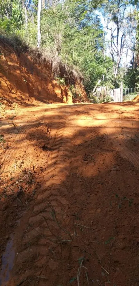 Terreno, 10000 m² - Foto 7