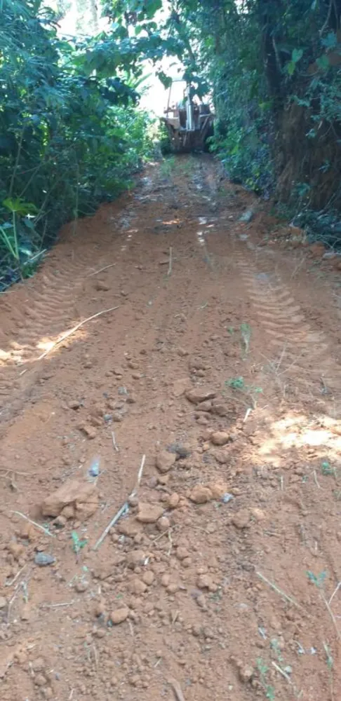 Terreno, 10000 m² - Foto 6