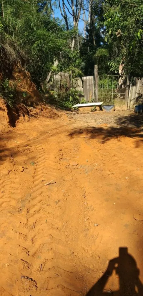 Terreno, 10000 m² - Foto 8