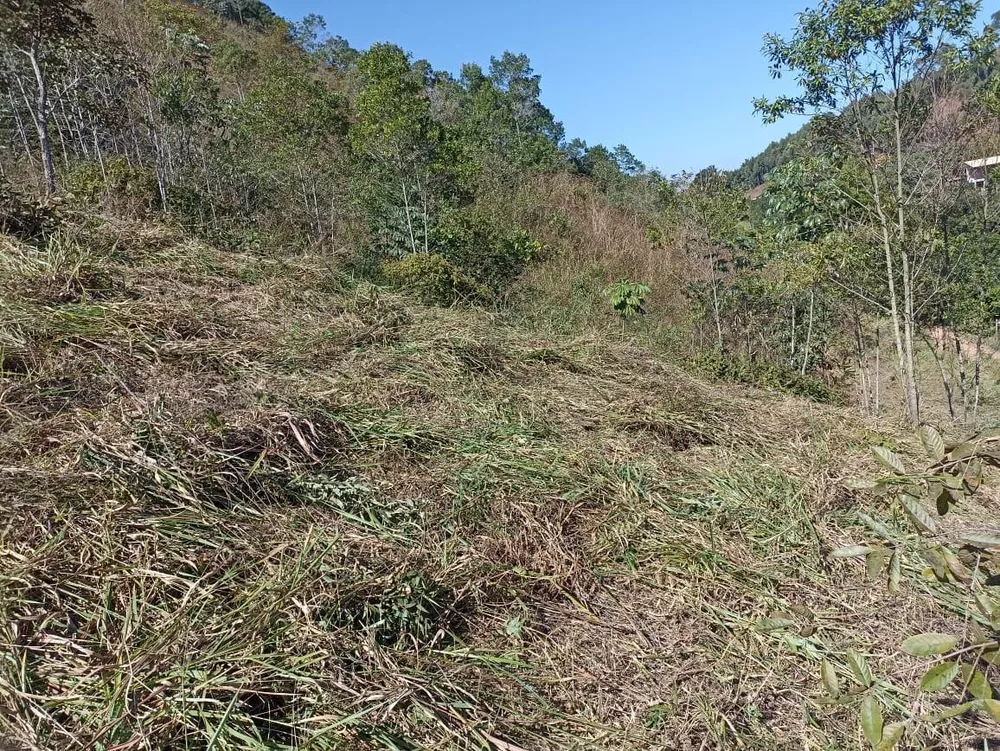 Terreno à venda, 2500m² - Foto 1