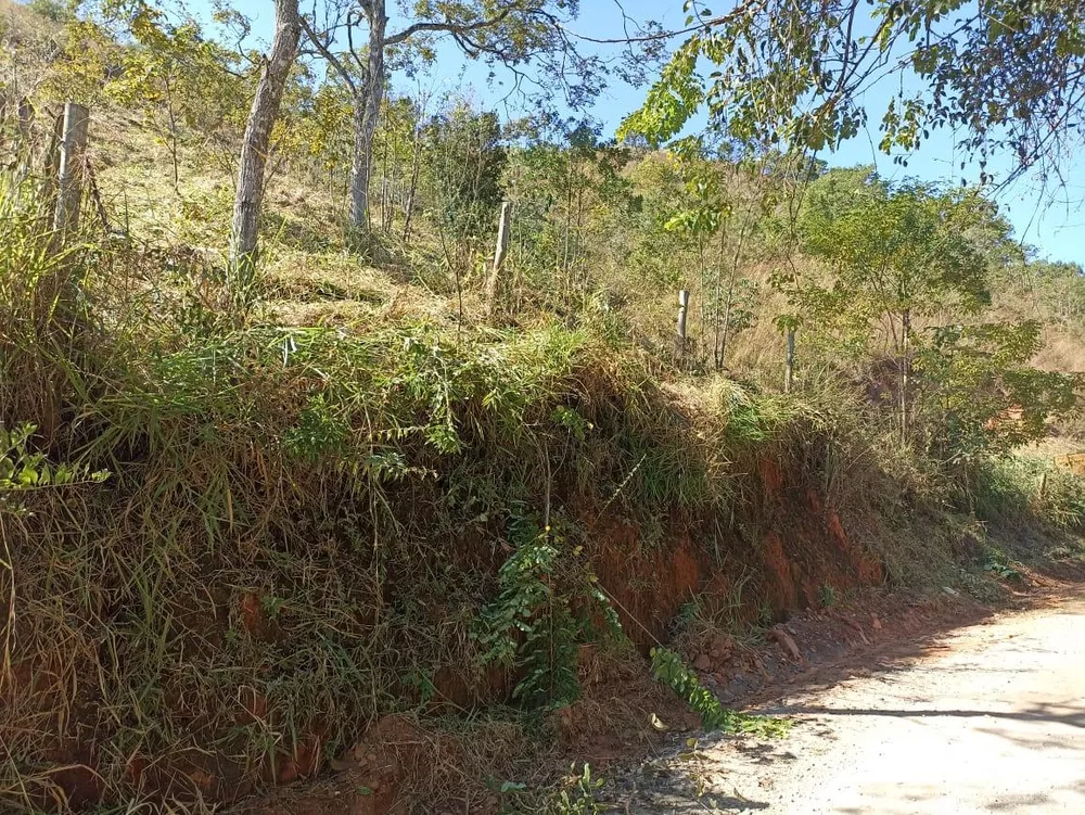 Terreno à venda, 2500m² - Foto 3