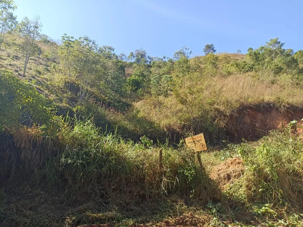 Terreno, 2500 m² - Foto 5