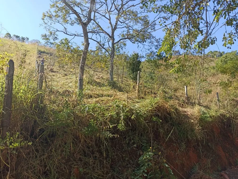 Terreno, 2500 m² - Foto 8