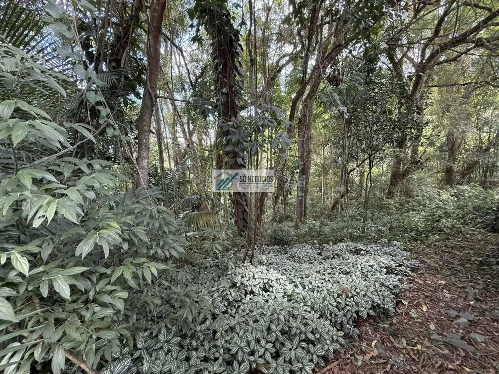 Terreno - Foto 4