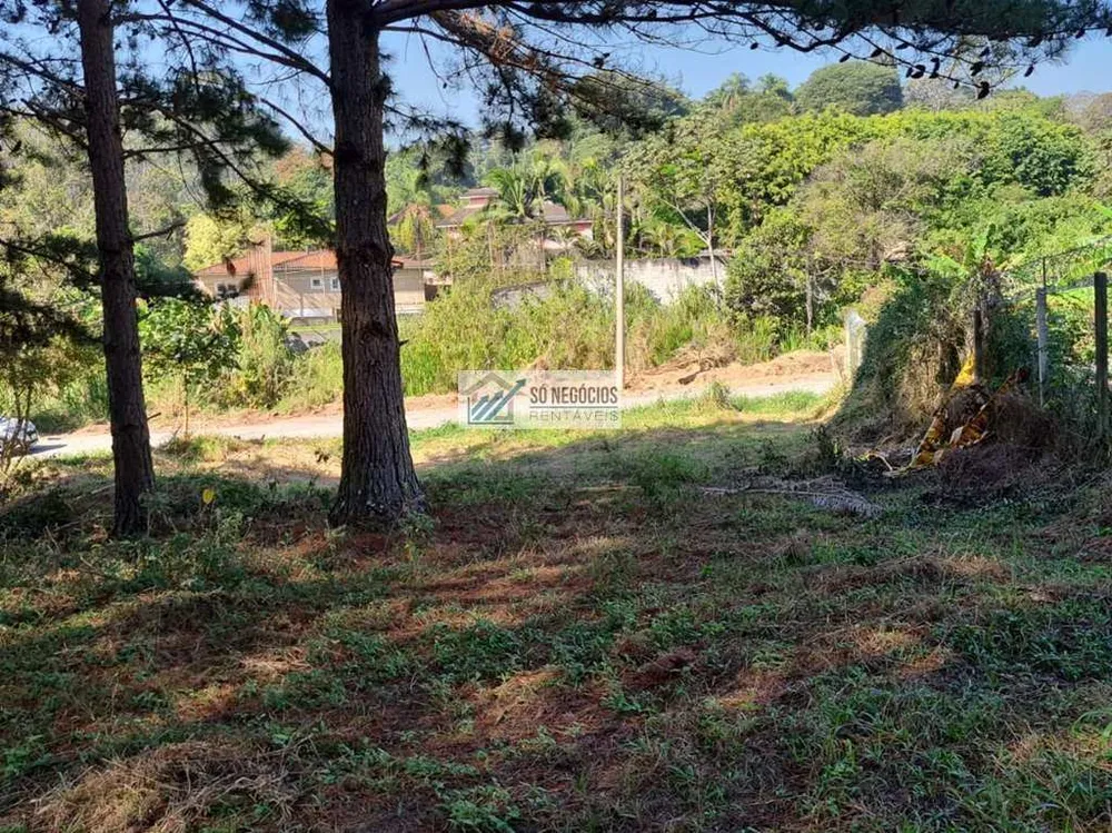 Terreno - Foto 4