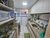 Apartamento, 2 quartos, 65 m² - Foto 11