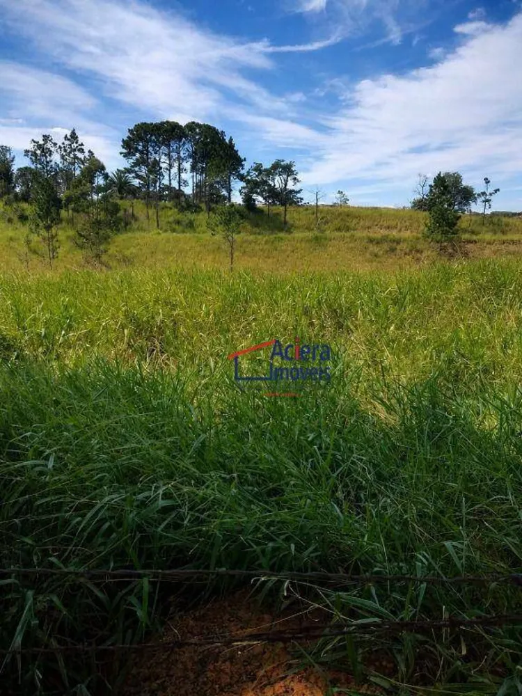 Terreno, 375 hectares - Foto 6