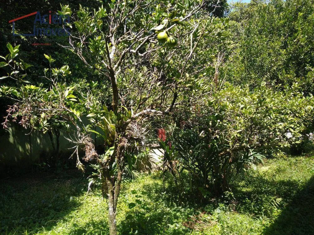 Casa, 3 quartos, 360 m² - Foto 12