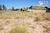 Terreno, 17 hectares - Foto 2