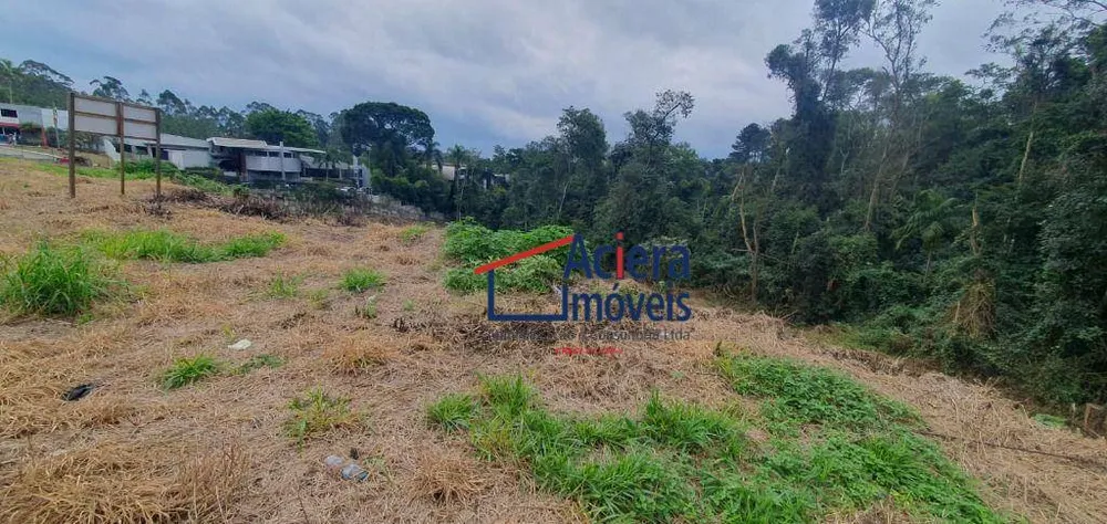 Terreno, 6202 m² - Foto 3