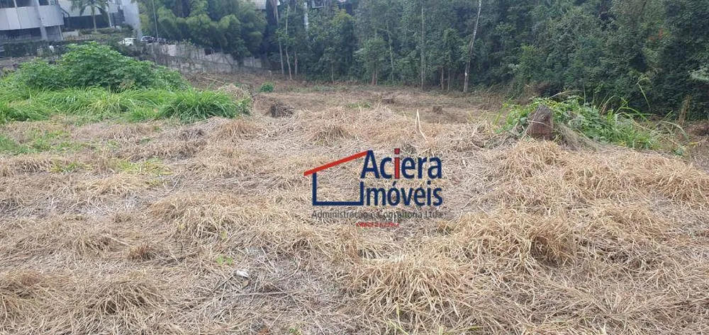 Terreno, 6202 m² - Foto 4