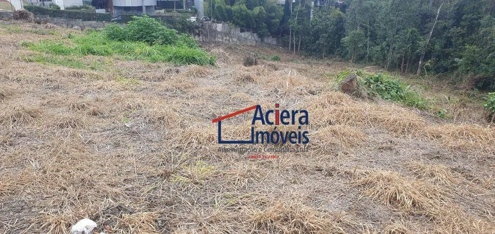 Terreno, 6202 m² - Foto 7