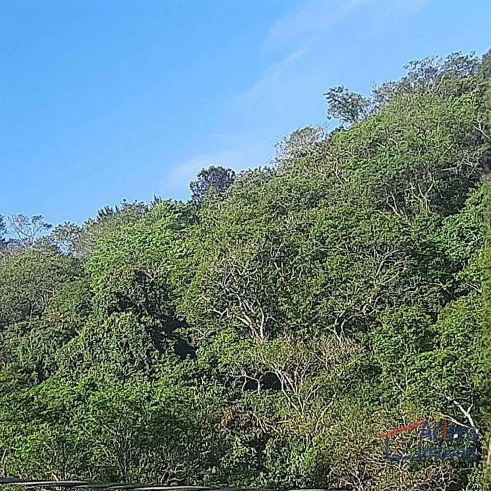 Terreno, 8 hectares - Foto 9