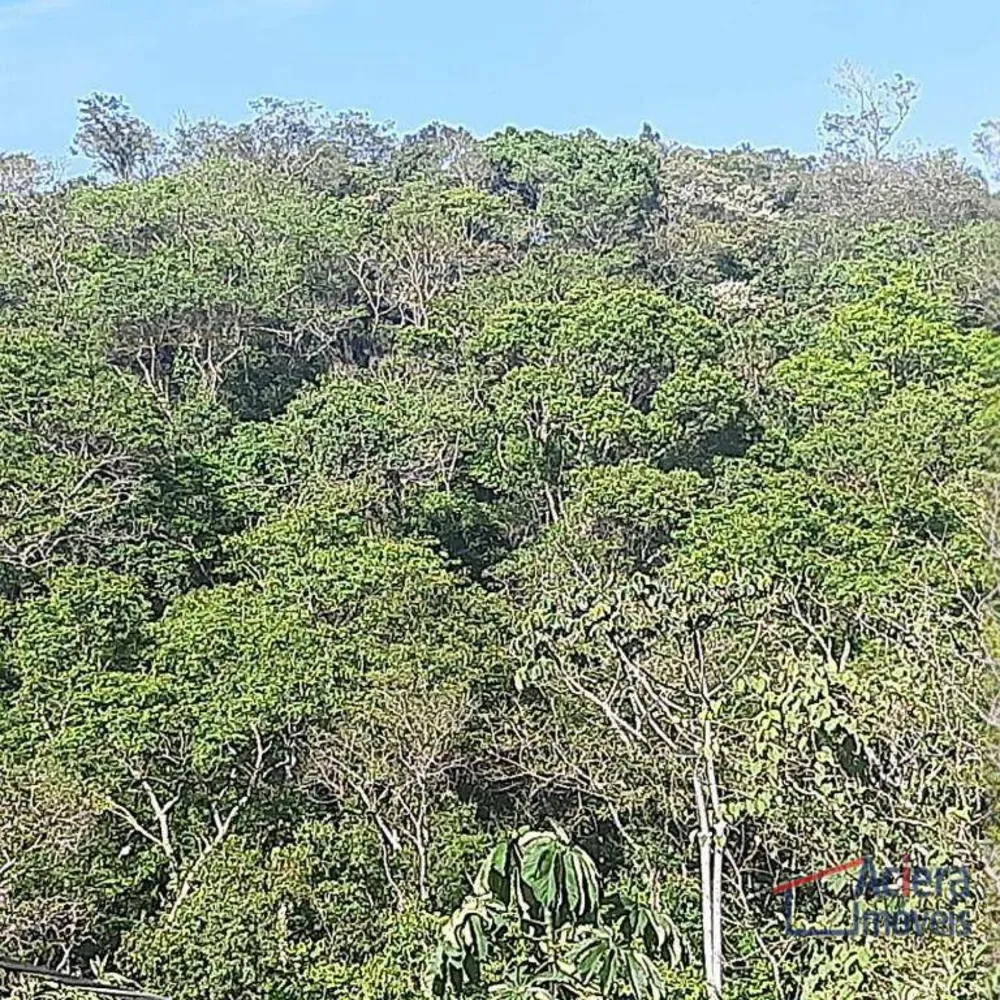 Terreno, 8 hectares - Foto 8