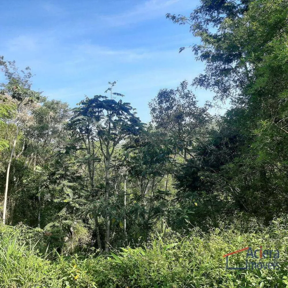 Terreno, 8 hectares - Foto 10