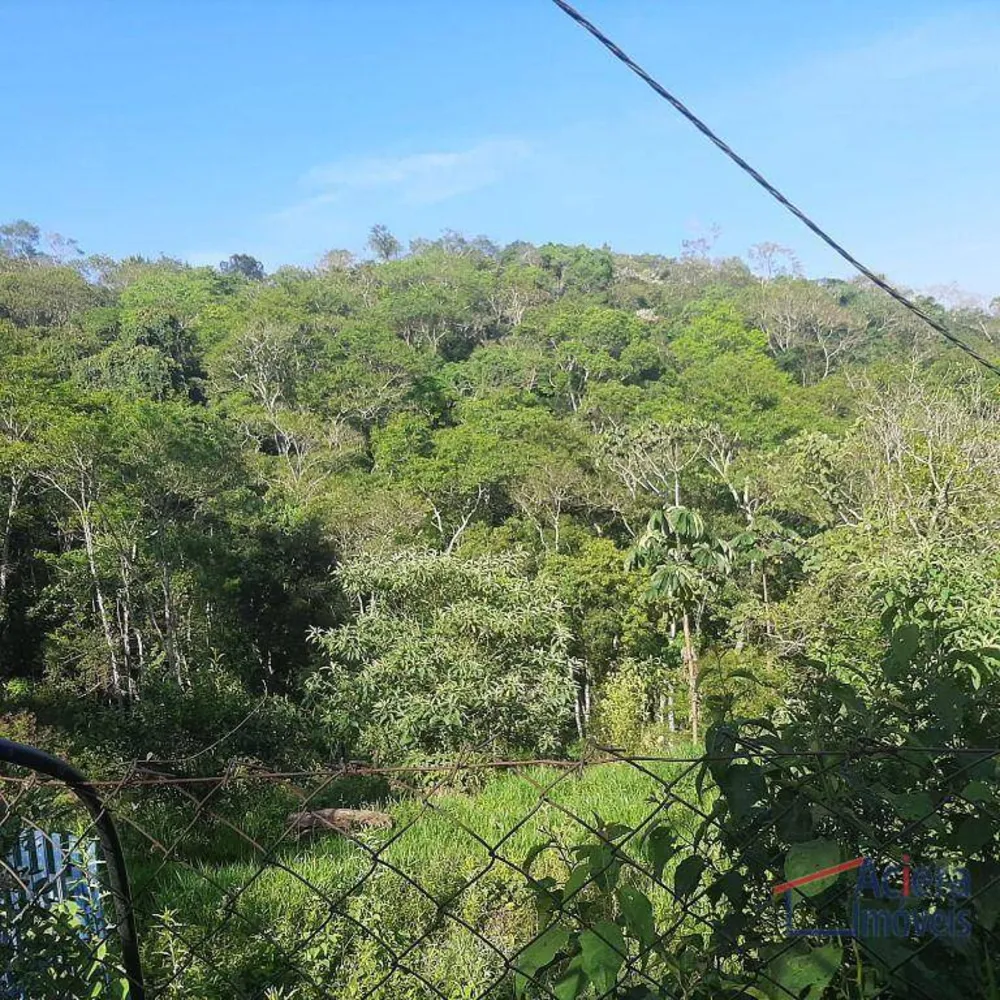 Terreno, 8 hectares - Foto 4