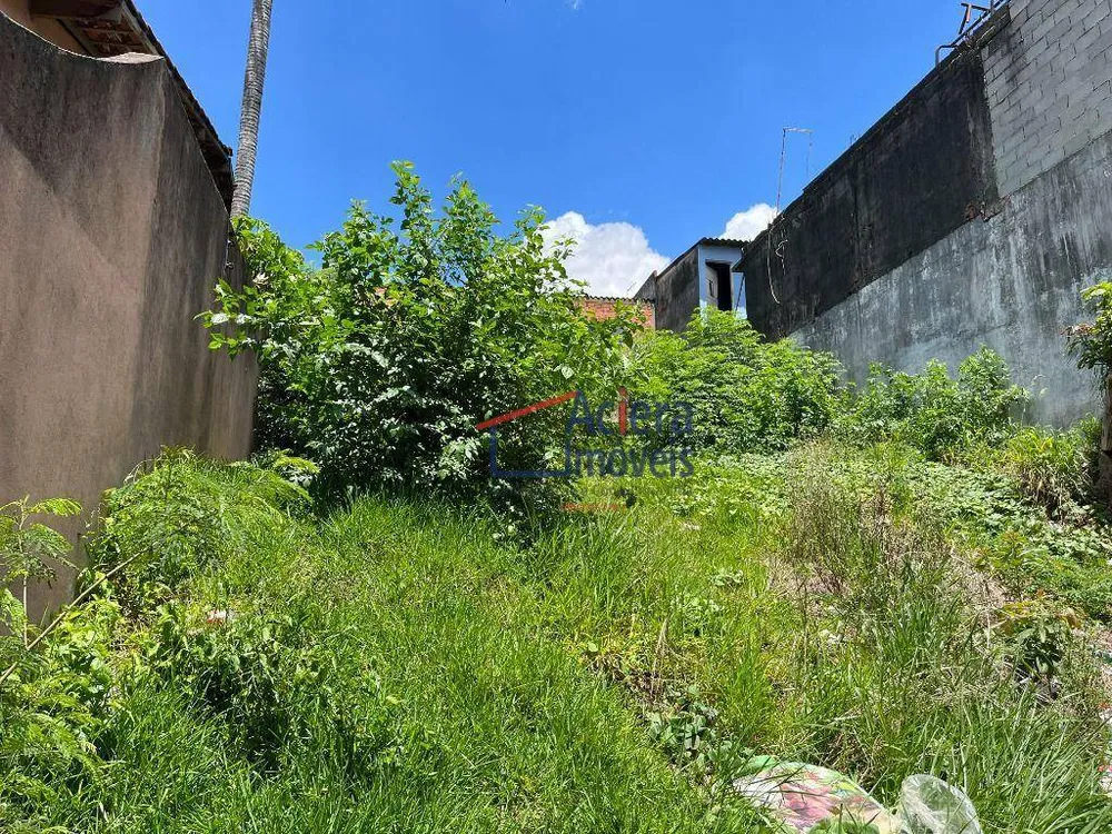 Terreno, 250 m² - Foto 8