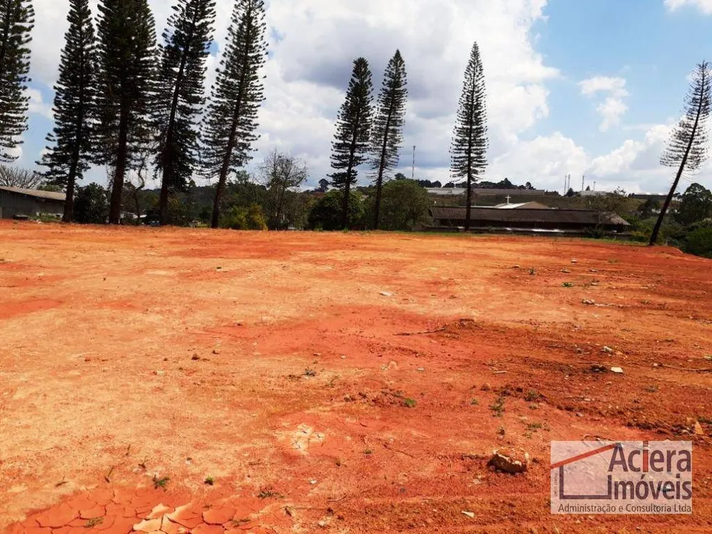 Terreno, 2 hectares - Foto 4