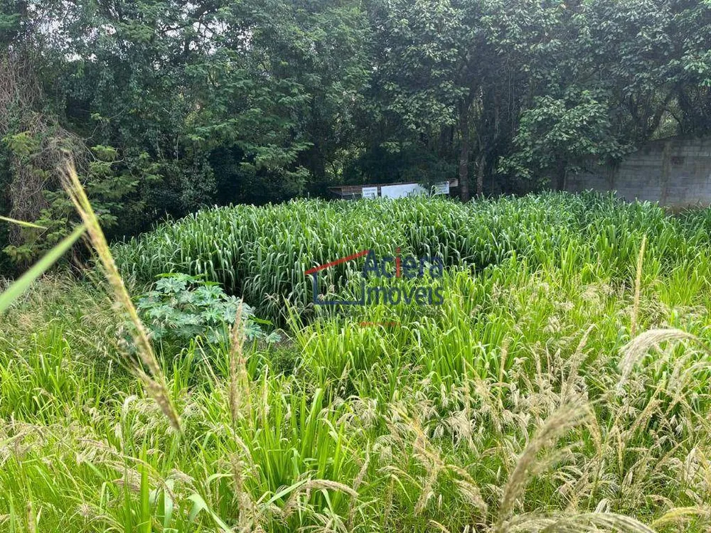 Loteamento e Condomínio, 1500 m² - Foto 2