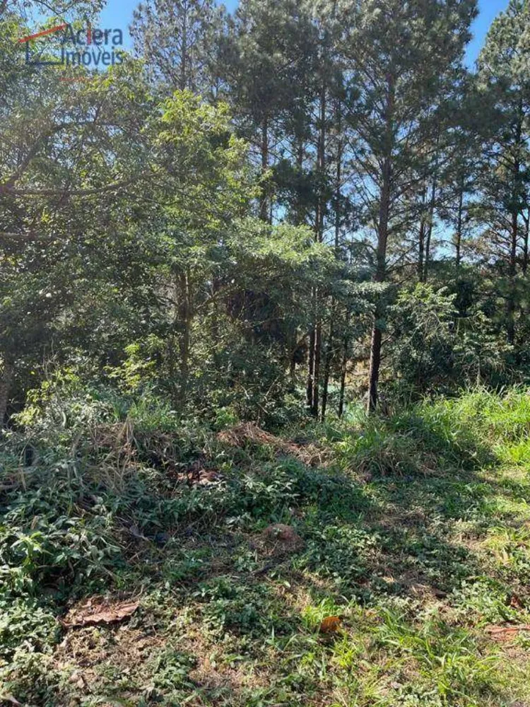 Loteamento e Condomínio, 505 m² - Foto 4
